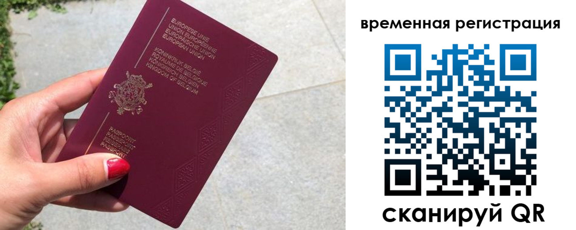 пропишу в квартире в Суздали